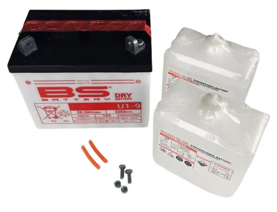 Акумулатор 24ah 12v BS-Battery (U1-9)
