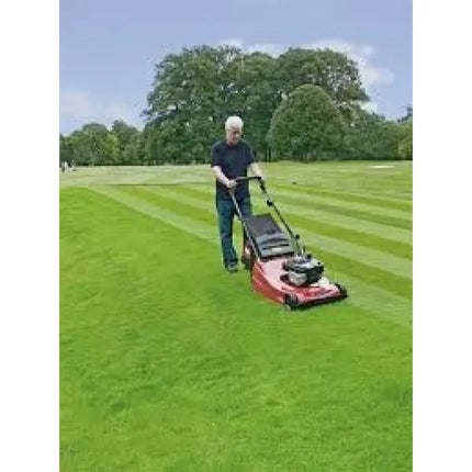 Професионална моторна косачка TORO ProStripe 560 179 см³ - 02657