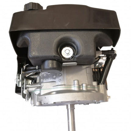 Двигател с вертикална ос 6 CP / 173cc Model 1P70