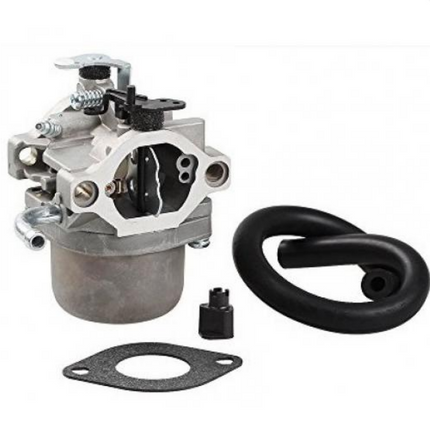 Карбуратор Briggs & Stratton 590399 796077