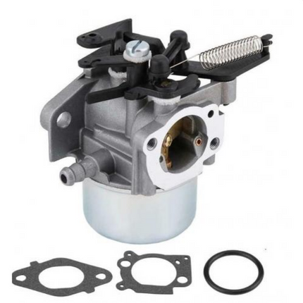 Карбуратор Briggs & Stratton Motor Engines 796608