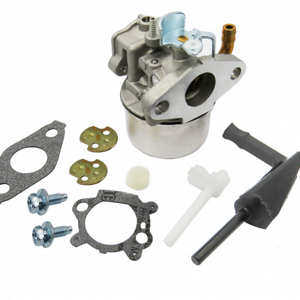 Карбуратор за Briggs&Stratton 798653, 697354, 790290
